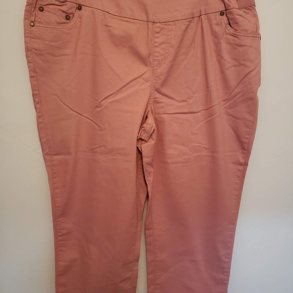 Woman Within- Capri Light Pink Pants!